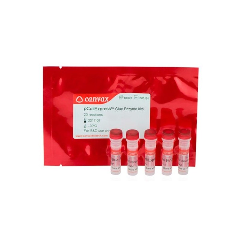 pColiExpress™ Glue Enzyme Kit