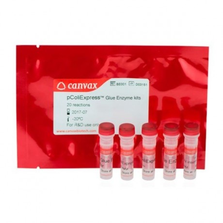 pColiExpress™ Glue Enzyme Kit