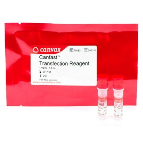 CANFAST™ Transfection Reagent